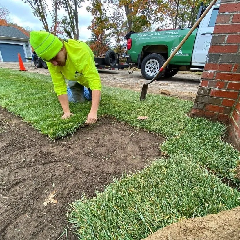 Local landscaping services for year-round maintenance across Webster, TX - Roses Landscaping