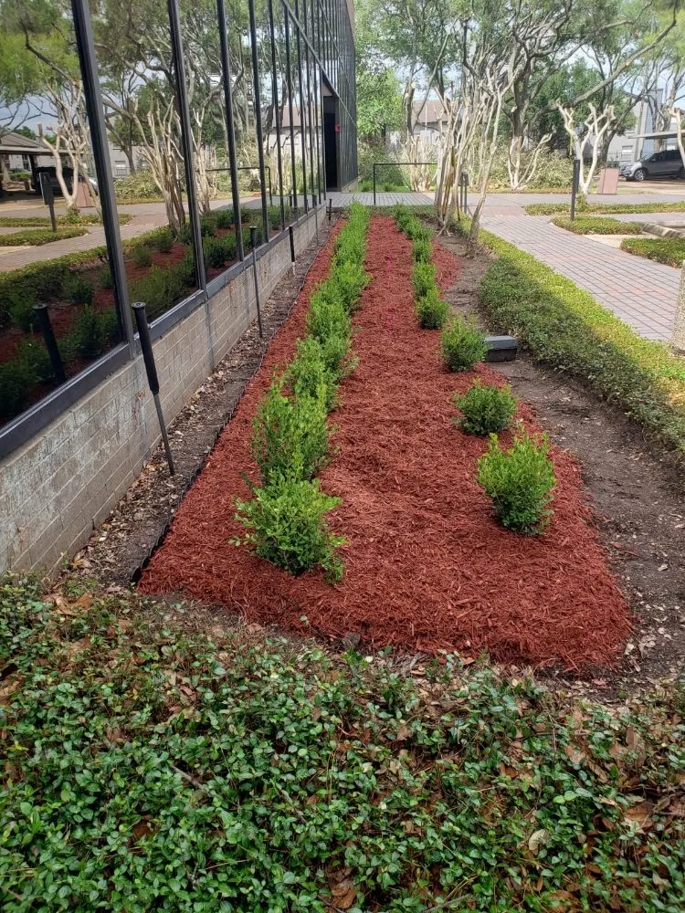 Trusted landscape design experts serving Webster, TX - Roses Landscaping