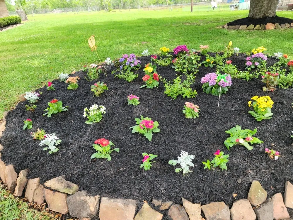 Expert landscaping services in Webster, TX - Roses Landscaping