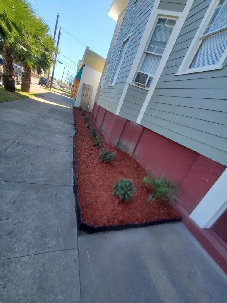 Affordable landscaping services near you across Webster, TX - Roses Landscaping