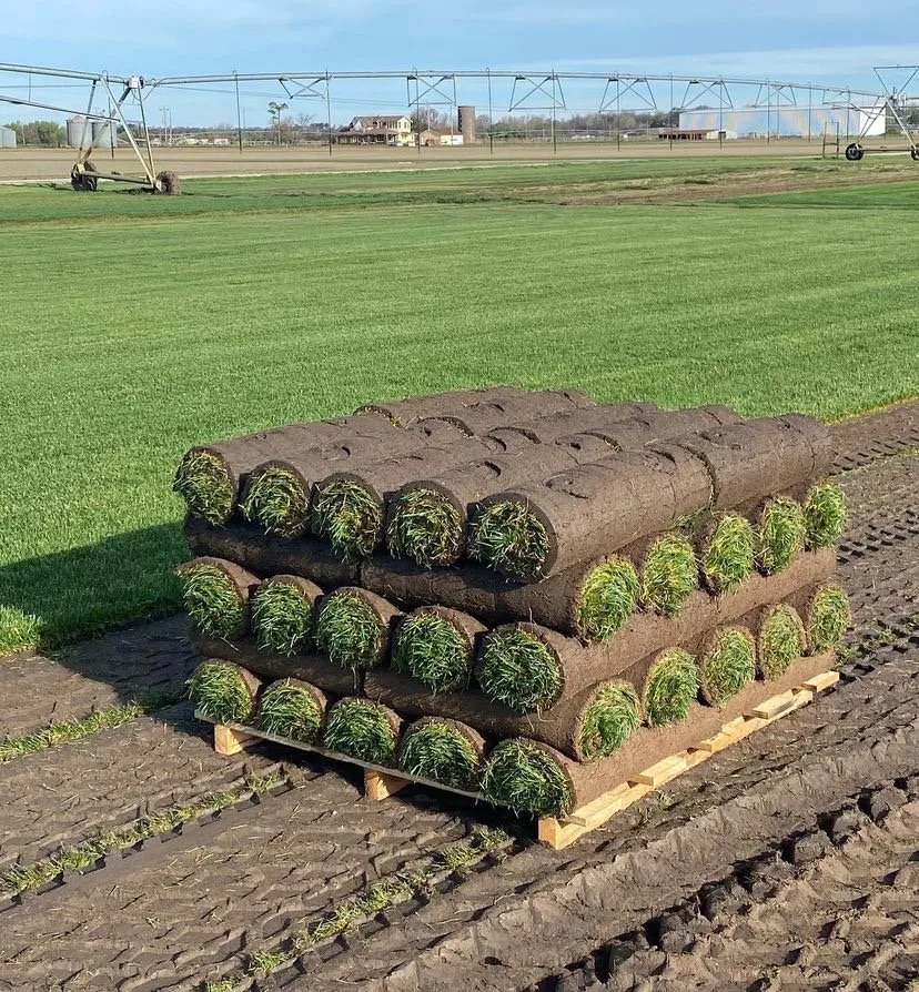 Trusted garden landscaping in Webster, TX - Roses Landscaping