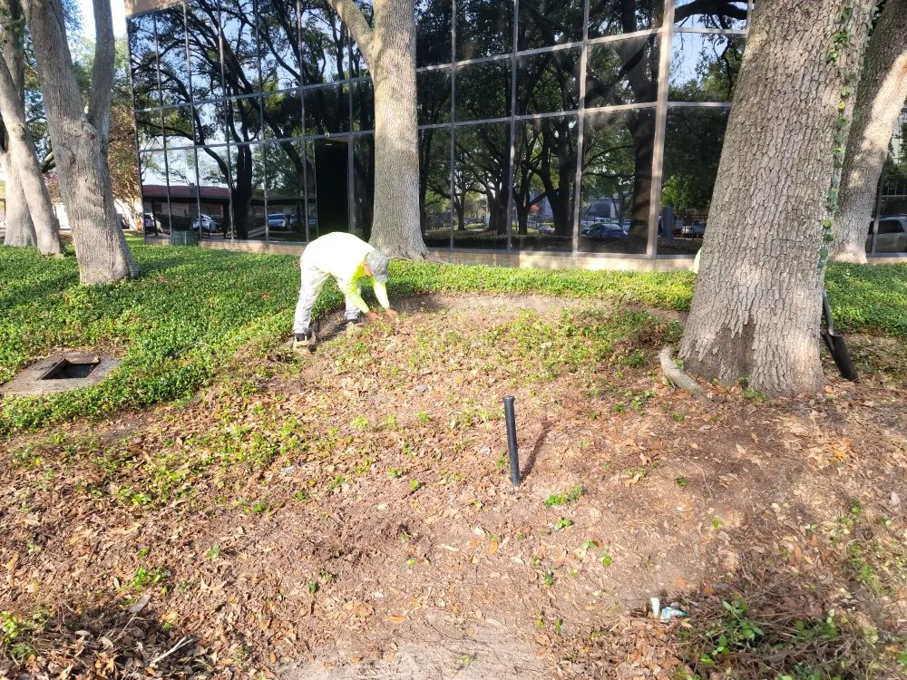 Reliable outdoor landscaping experts serving Webster, TX - Roses Landscaping