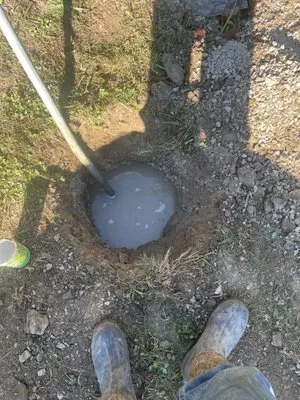 Roses lawn care and more