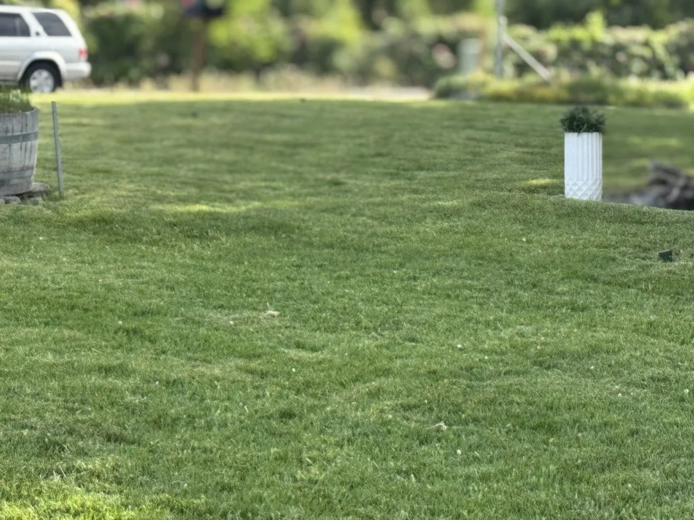 Top-rated landscape design in Kennewick, WA - Roses Lawn Care