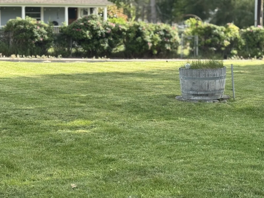 Custom landscaping services for outdoor upgrades across Kennewick, WA - Roses Lawn Care