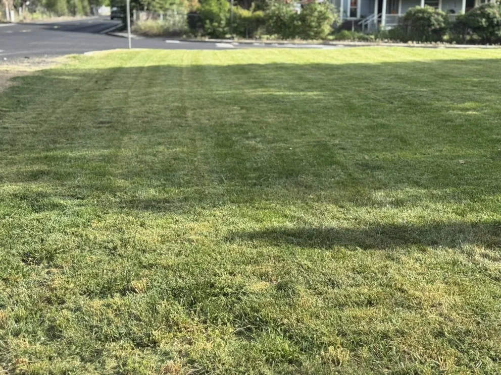 Trusted yard cleanup service with custom design across Kennewick, WA - Roses Lawn Care