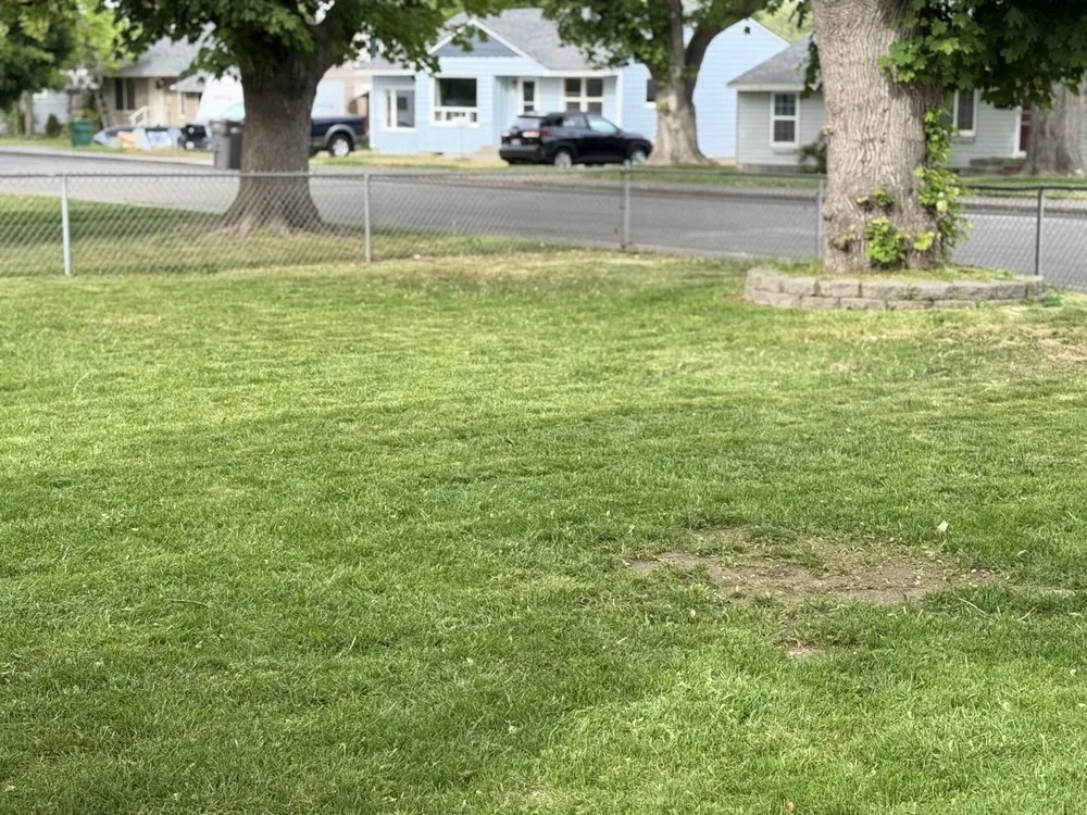 Top-rated yard maintenance for homes across Kennewick, WA - Roses Lawn Care