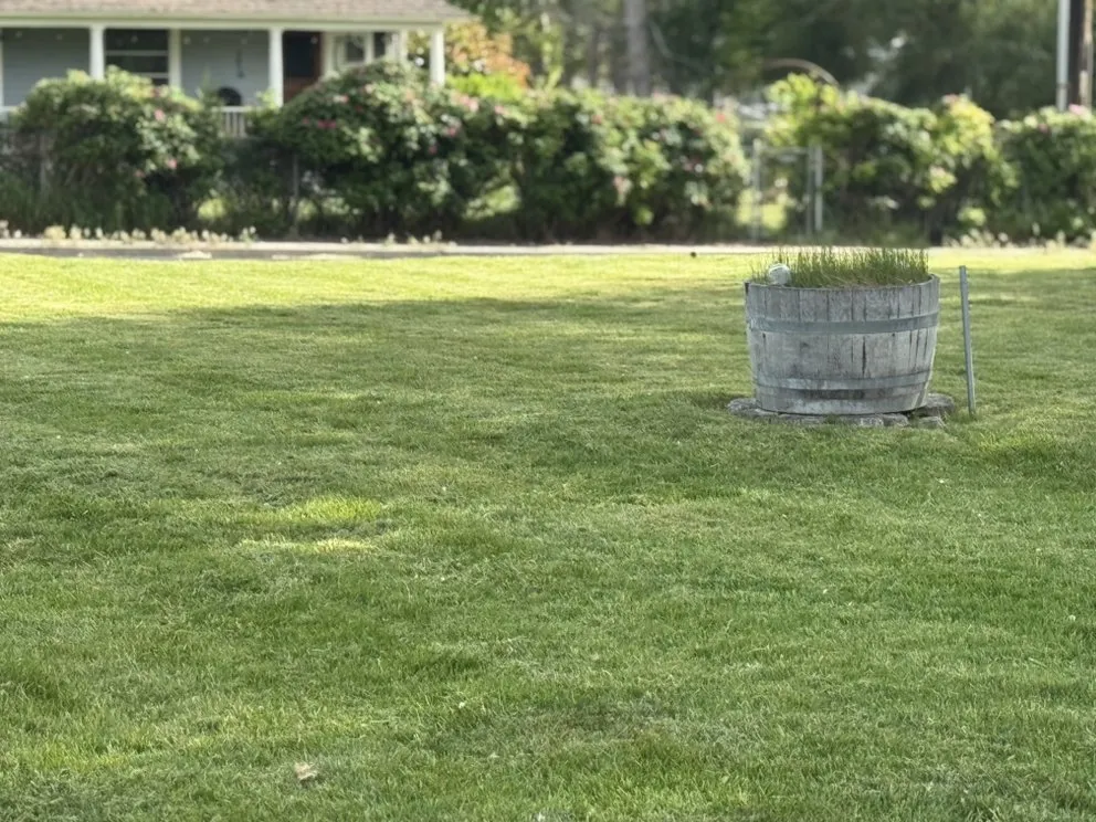 Custom lawn mowing service in Kennewick, WA - Roses Lawn Care