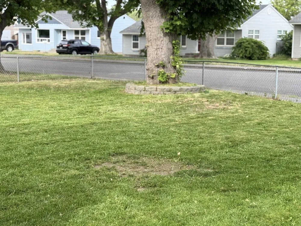 Professional landscape installation experts serving Kennewick, WA - Roses Lawn Care