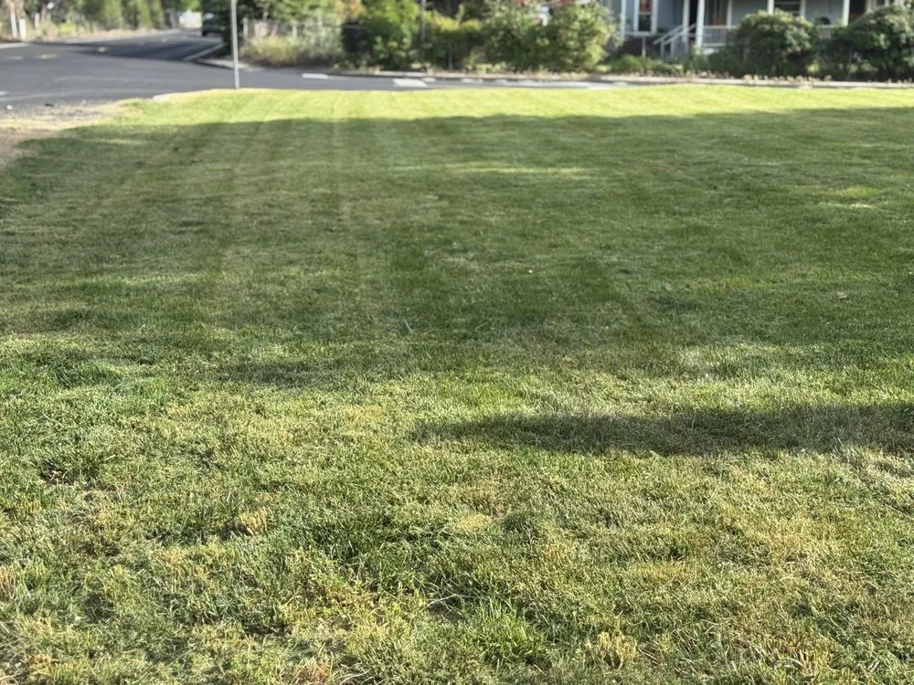 Top-rated lawn care service in Kennewick, WA - Roses Lawn Care