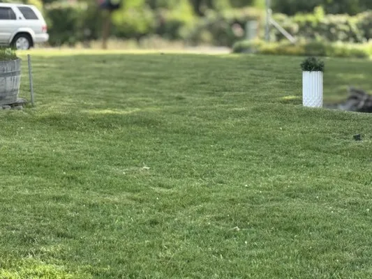 Roses Lawn Care Logo