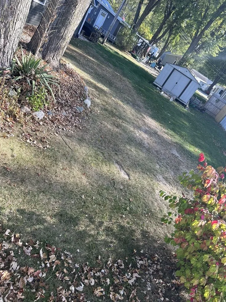 Top-rated garden landscaping for beautiful yards in Lakeview, OH by Roses Lawncare Maintenance