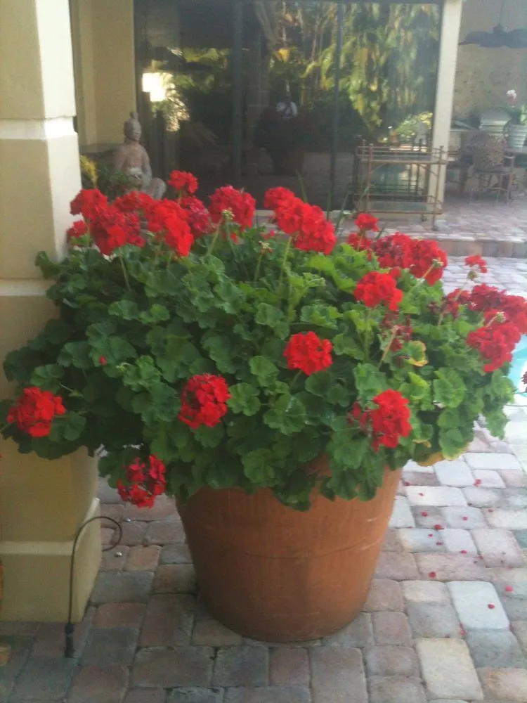 Local landscaping services experts serving Wellington, FL - Rose's Red Barn