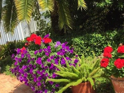 Local residential landscaping in Wellington, FL by Rose's Red Barn