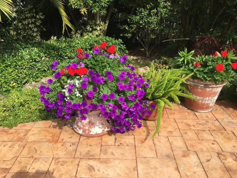 Top-rated residential landscaping with custom design across Wellington, FL - Rose's Red Barn