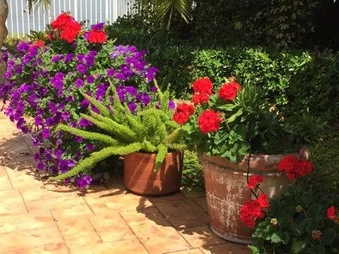 Professional landscaping services near you in Wellington, FL by Rose's Red Barn