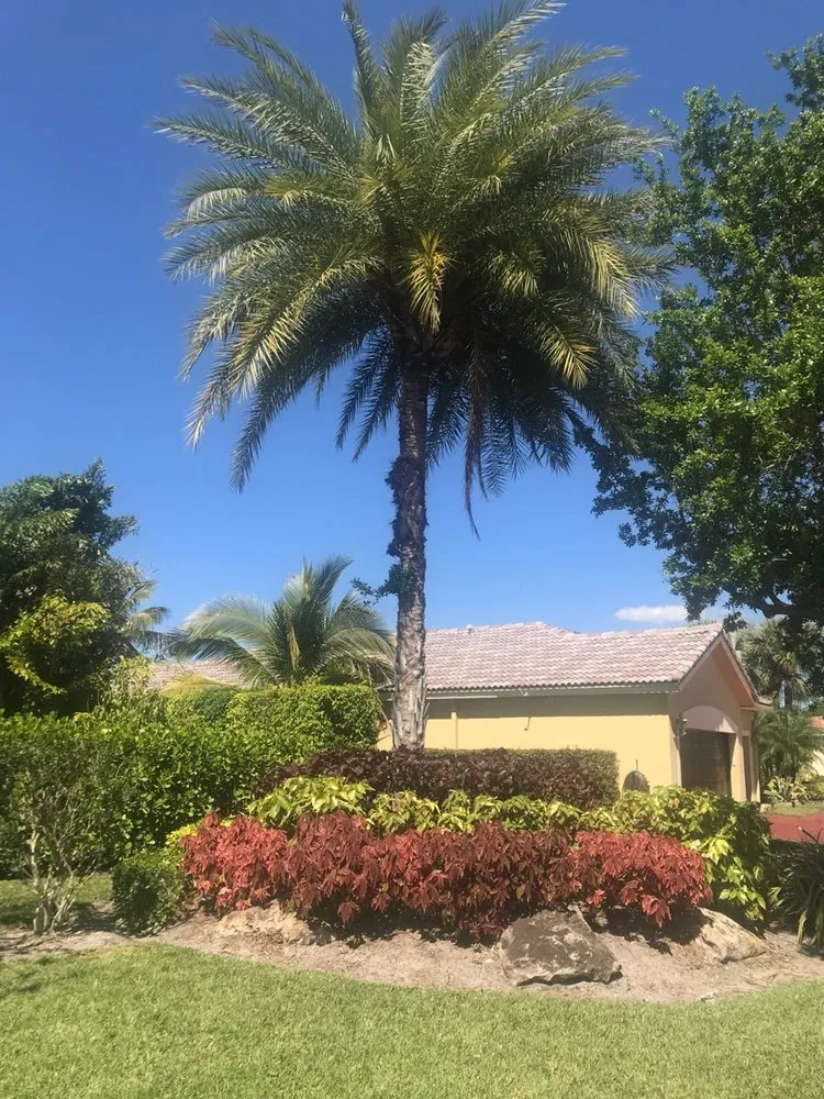 Custom residential landscaping with custom design across Wellington, FL - Rose's Red Barn