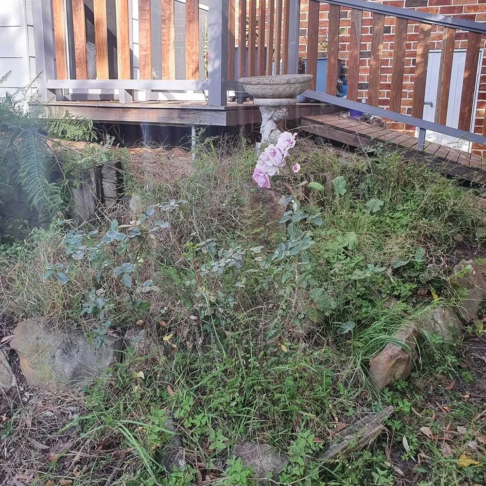 Reliable landscape design for outdoor upgrades in Sacramento, CA by Roseville Lawn Care