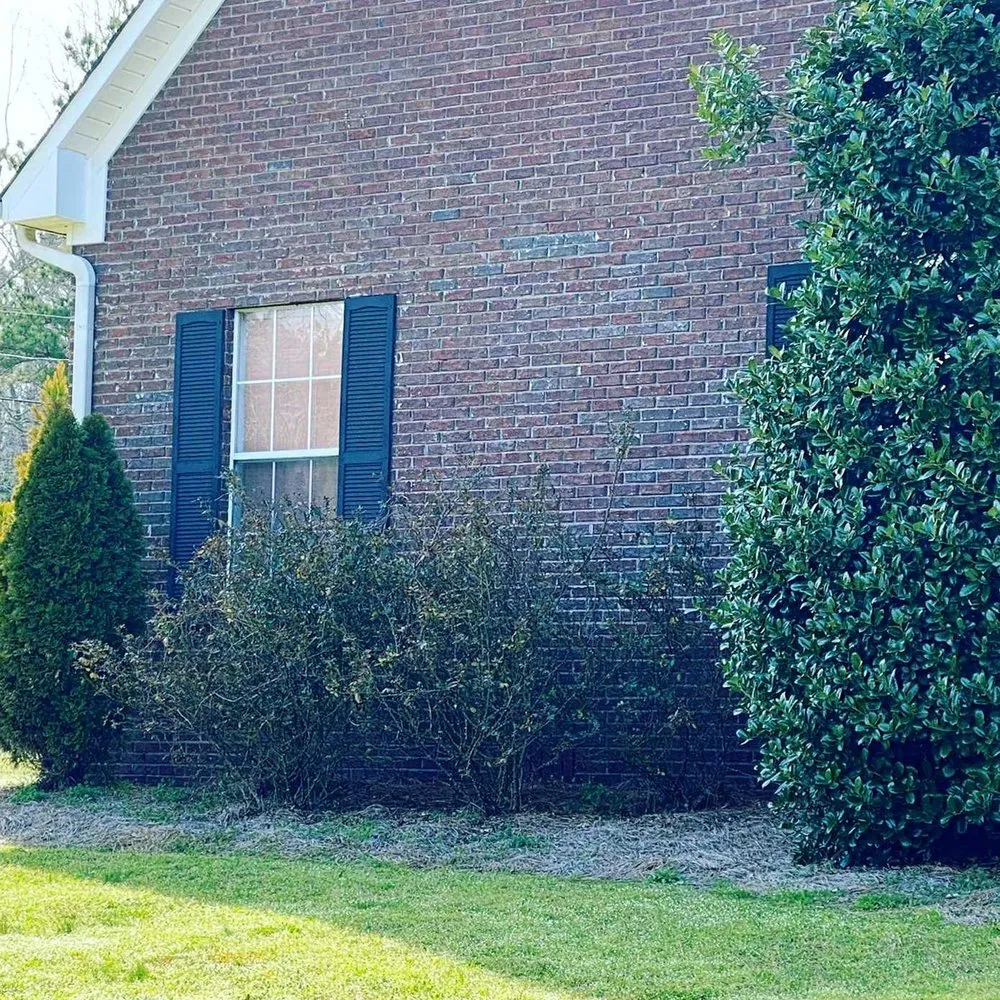 Local lawn care service for outdoor upgrades across Sacramento, CA - Roseville Lawn Care