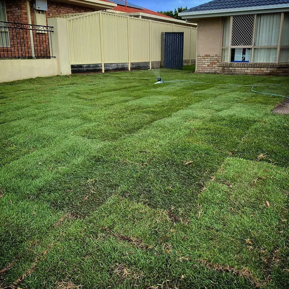 Trusted yard cleanup service with custom design across Sacramento, CA - Roseville Lawn Care