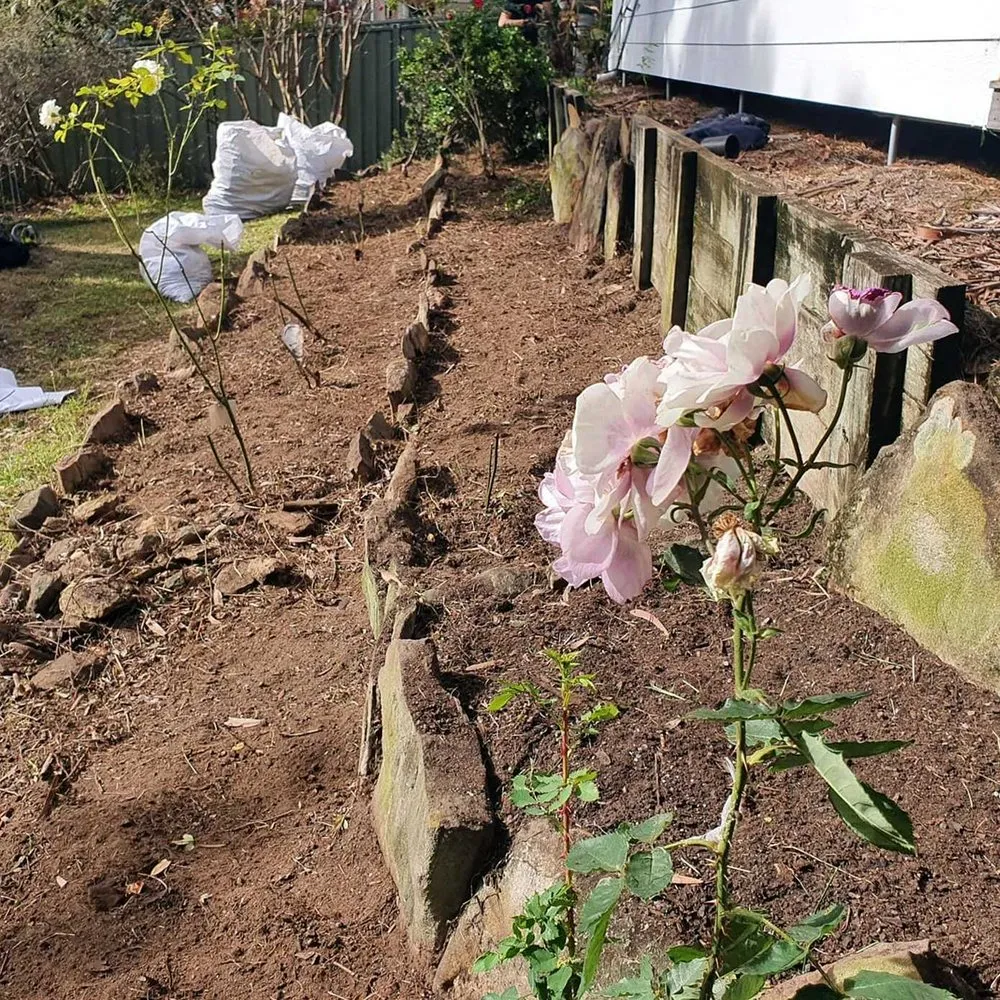 Trusted garden landscaping experts serving Sacramento, CA - Roseville Lawn Care