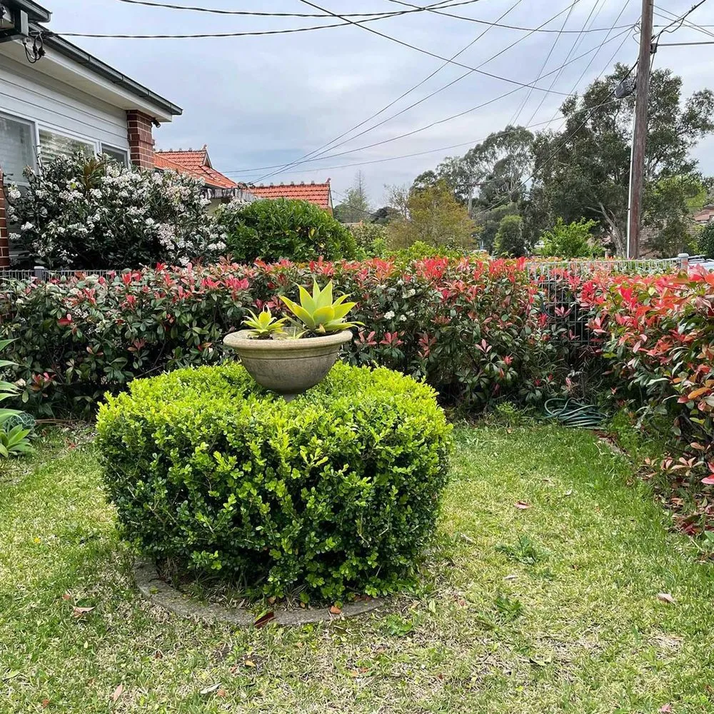 Local landscaping services with custom design in Sacramento, CA by Roseville Lawn Care