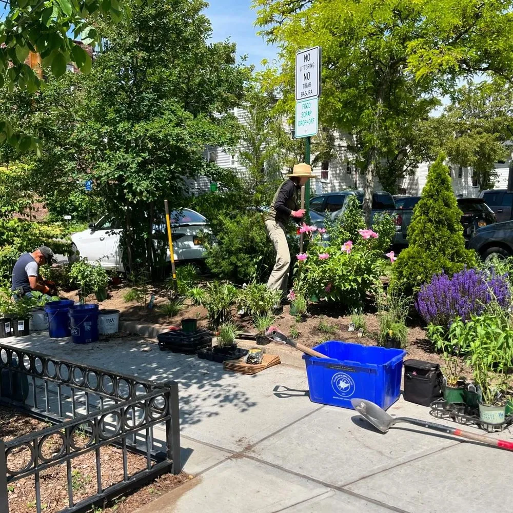 Trusted yard cleanup service in Sleepy Hollow, NY by Rosewater Garden Design