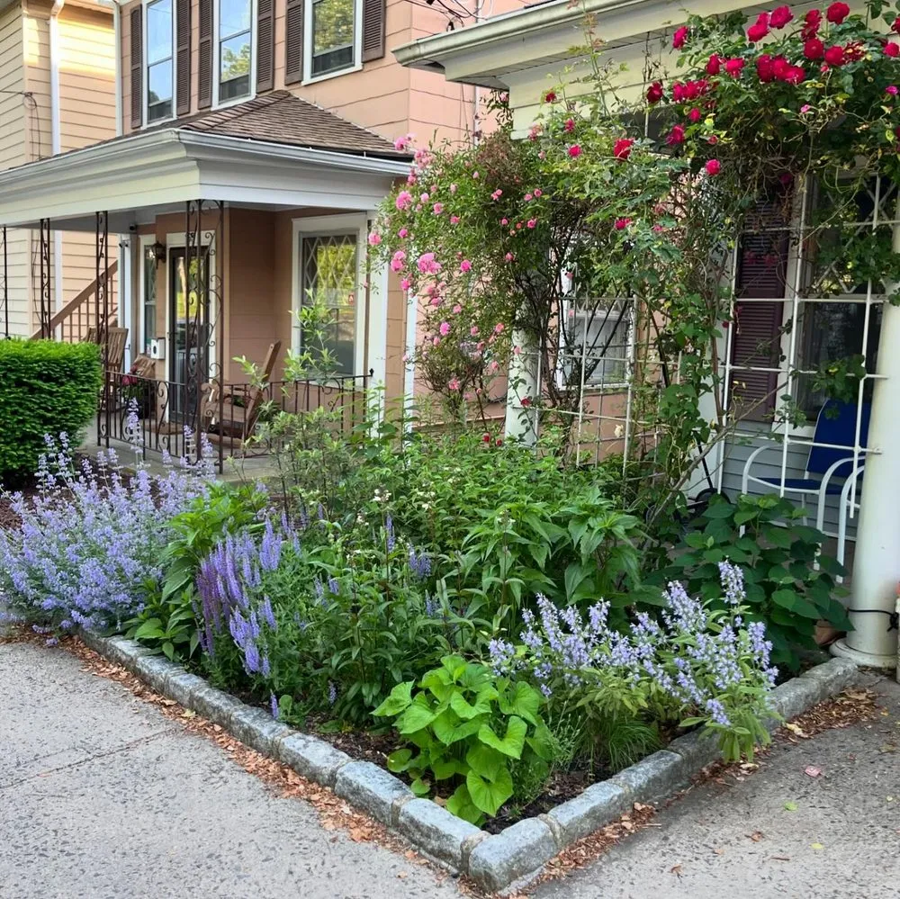 Affordable yard cleanup service for homes in Sleepy Hollow, NY by Rosewater Garden Design