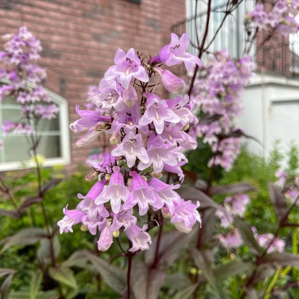 Expert landscaping services in Sleepy Hollow, NY - Rosewater Garden Design