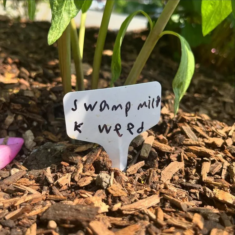 Custom yard cleanup service for homes across Sleepy Hollow, NY - Rosewater Garden Design