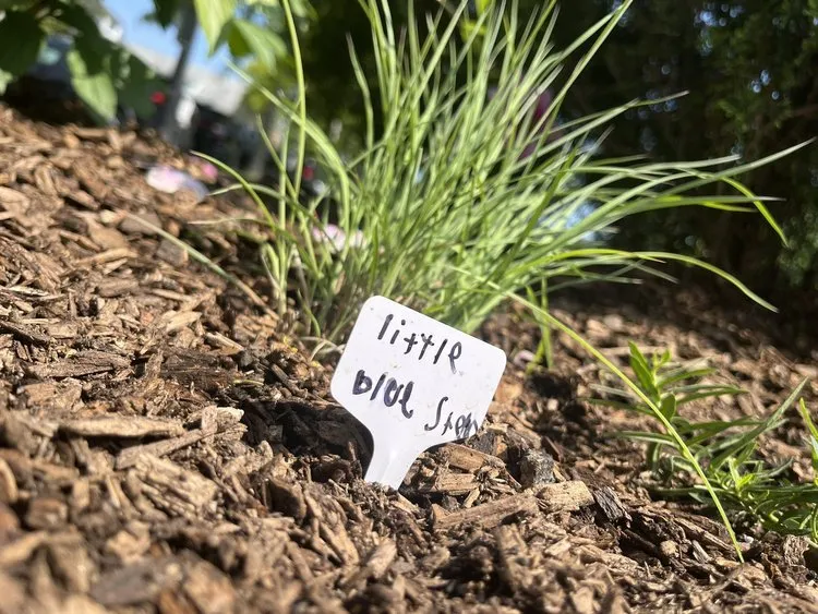 Trusted landscaping services experts serving Sleepy Hollow, NY - Rosewater Garden Design