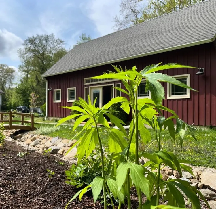 Trusted garden landscaping experts serving Sleepy Hollow, NY - Rosewater Garden Design