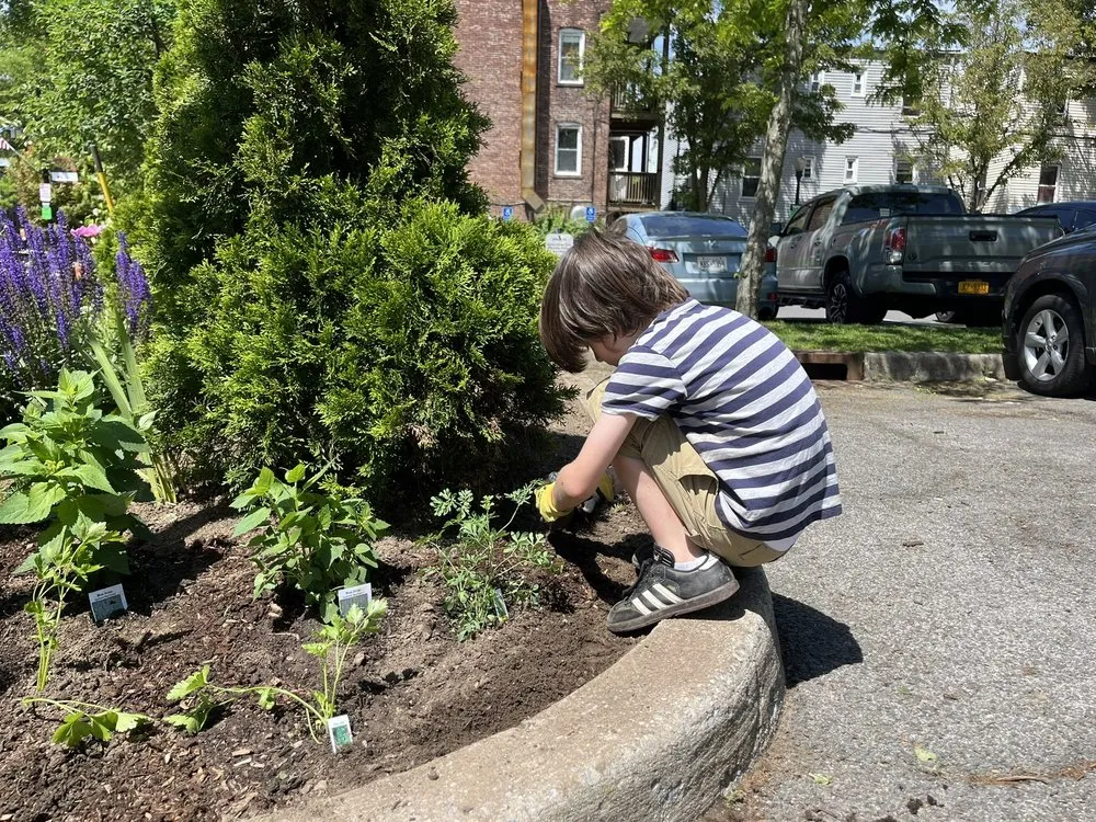 Trusted lawn mowing service near you across Sleepy Hollow, NY - Rosewater Garden Design