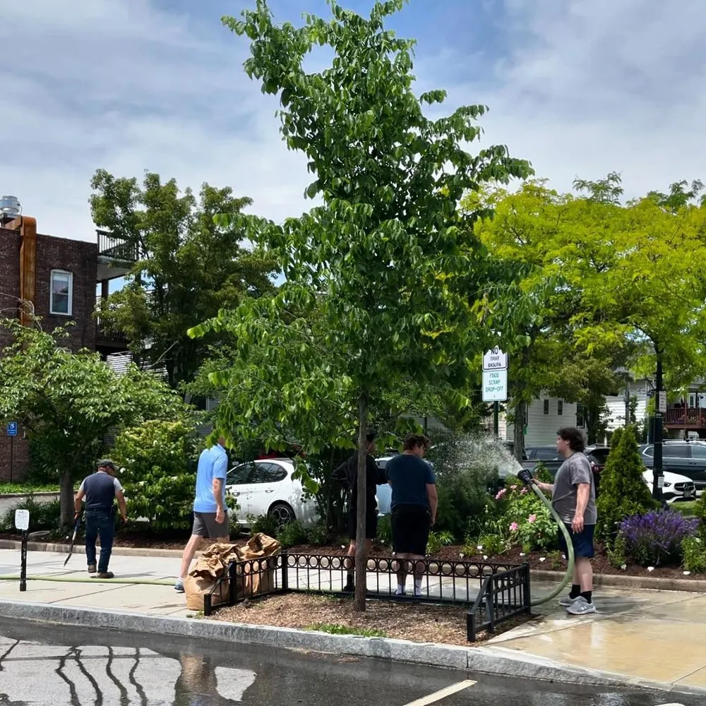 Local garden landscaping in Sleepy Hollow, NY - Rosewater Garden Design