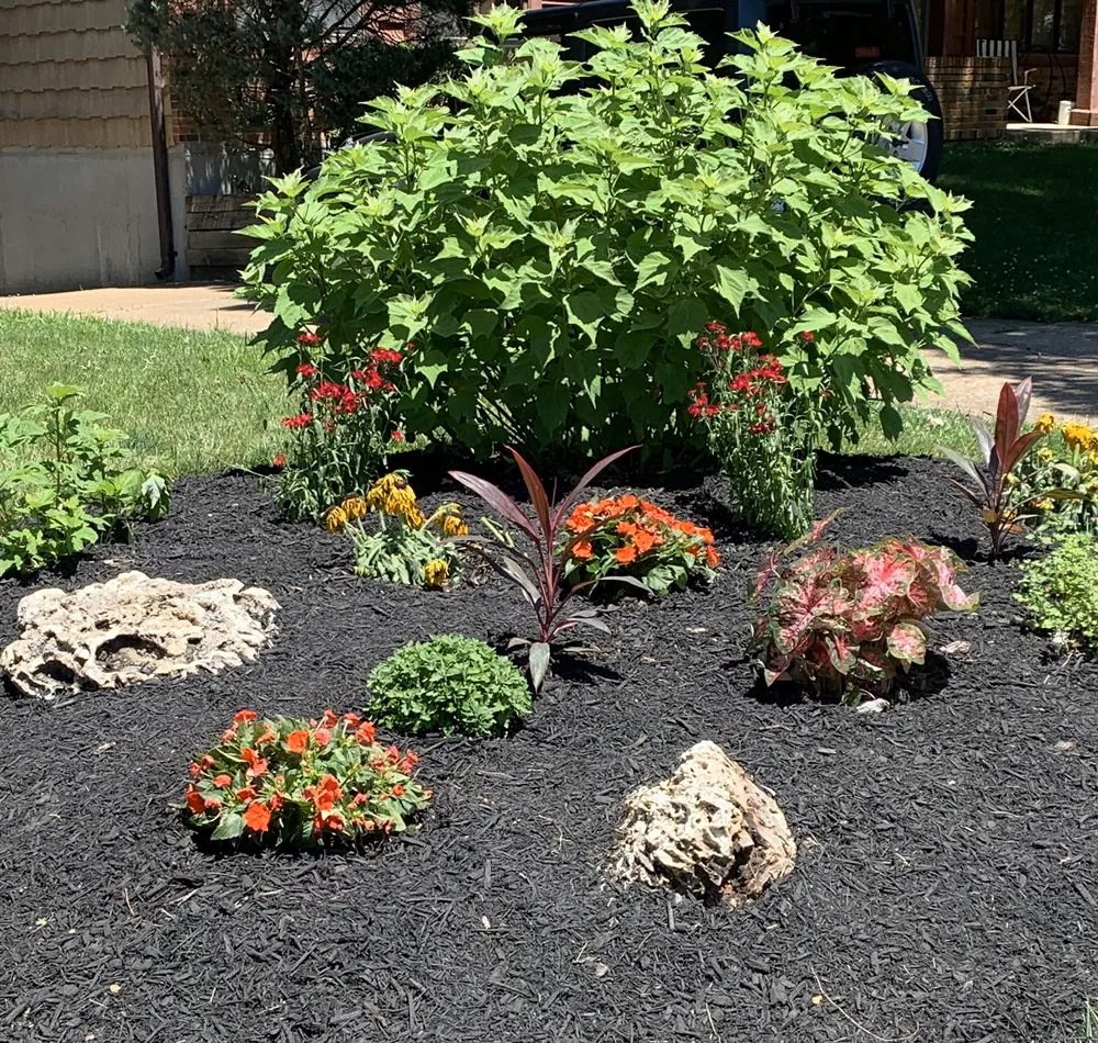 Local landscape installation near you in St. Peters, MO by Rosewood Landscape Designs
