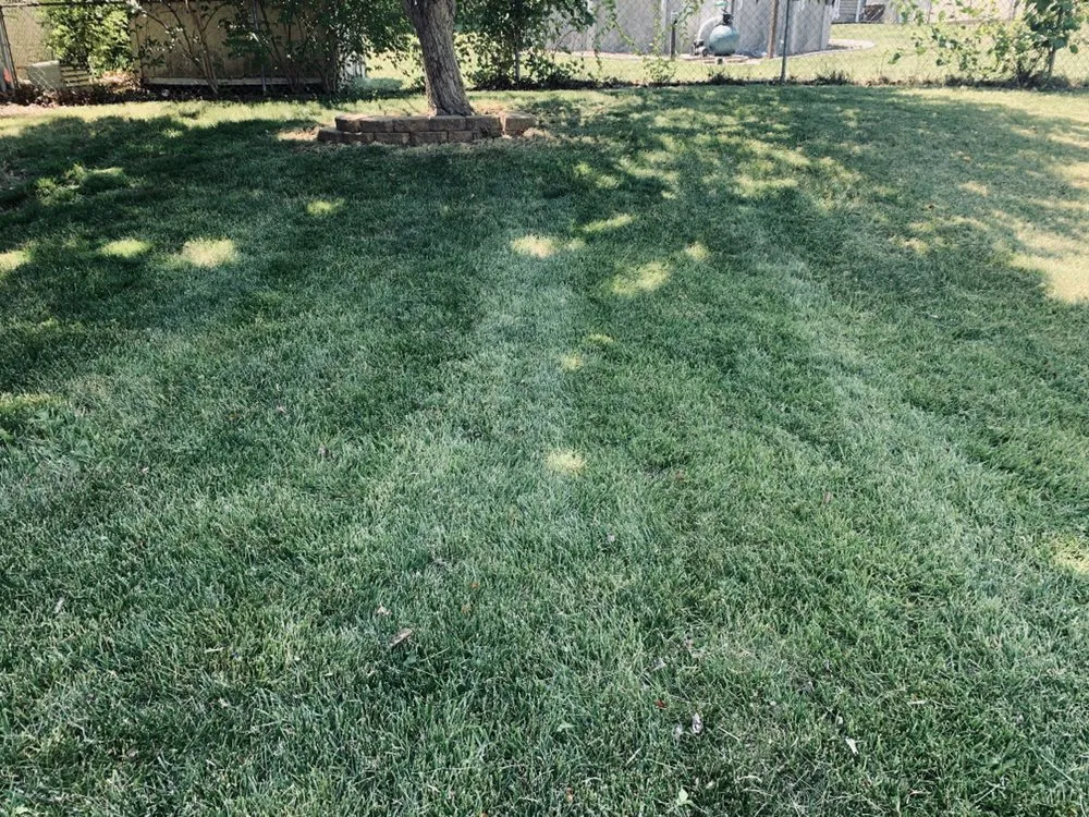 Top-rated yard maintenance in St. Peters, MO - Rosewood Landscape Designs