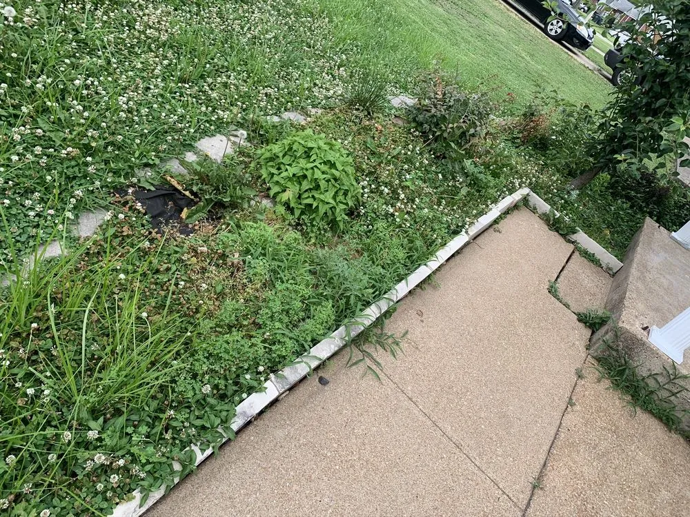 Custom outdoor landscaping experts serving St. Peters, MO - Rosewood Landscape Designs