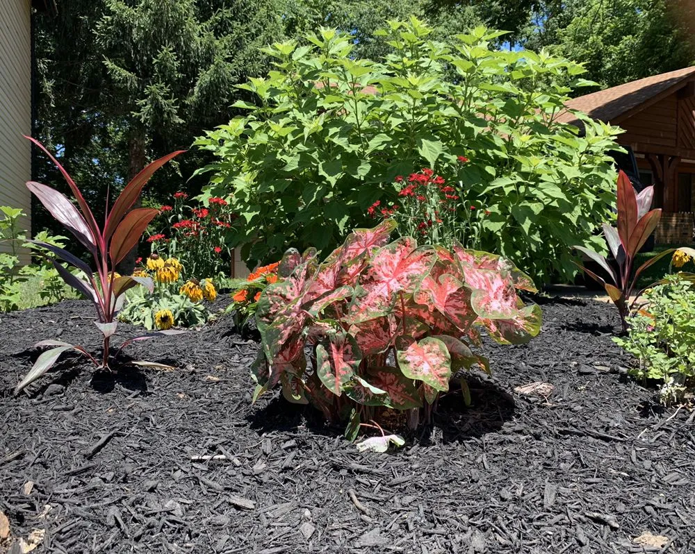Local yard maintenance with custom design in St. Peters, MO by Rosewood Landscape Designs