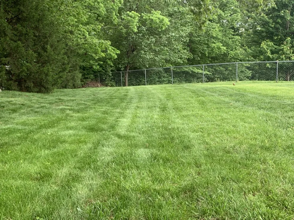 Custom landscape installation for outdoor upgrades in St. Peters, MO by Rosewood Landscape Designs