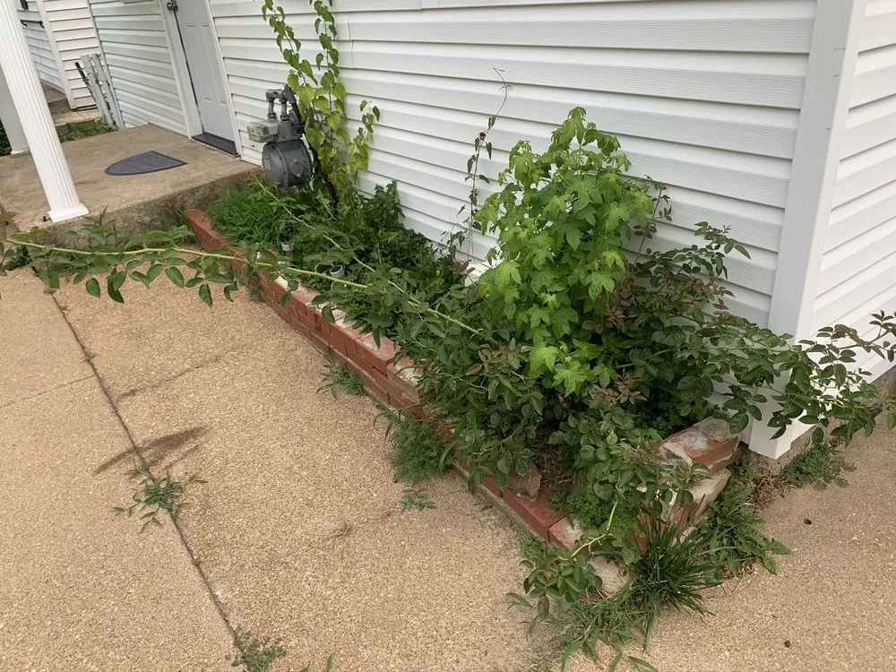 Expert yard maintenance experts serving St. Peters, MO - Rosewood Landscape Designs