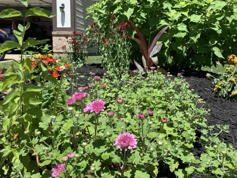 Trusted landscape design experts serving St. Peters, MO - Rosewood Landscape Designs