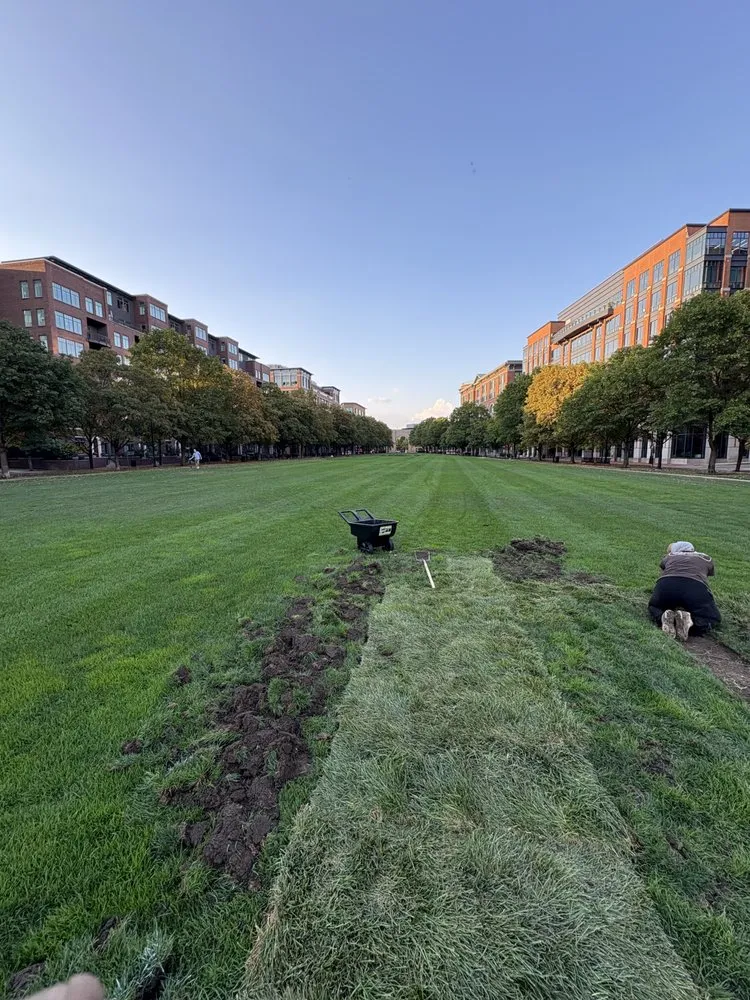 Reliable garden landscaping experts serving Columbus, OH - Rosey’s Home & Lawn Care