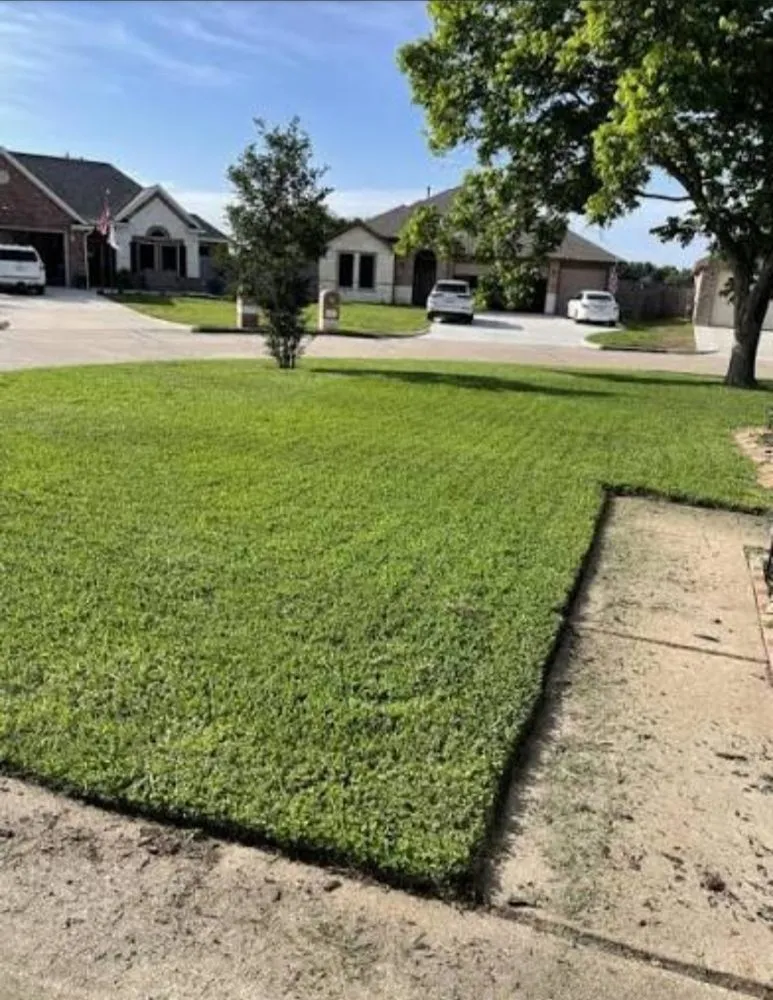 Affordable yard cleanup service in Hazlehurst, MS by Rosha Lawn Care