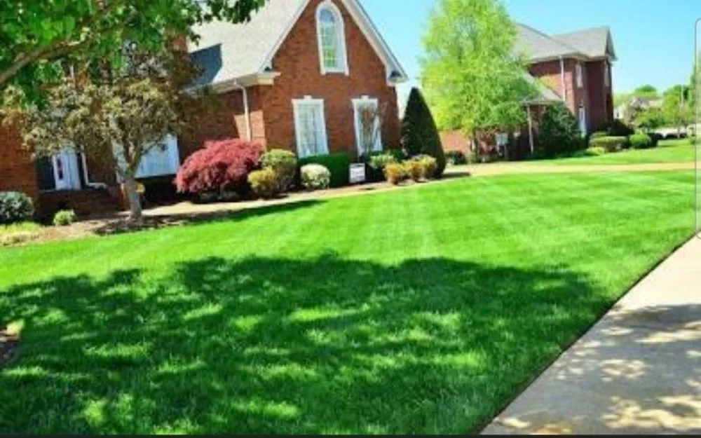 Top-rated landscaping services for outdoor upgrades across Hazlehurst, MS - Rosha Lawn Care