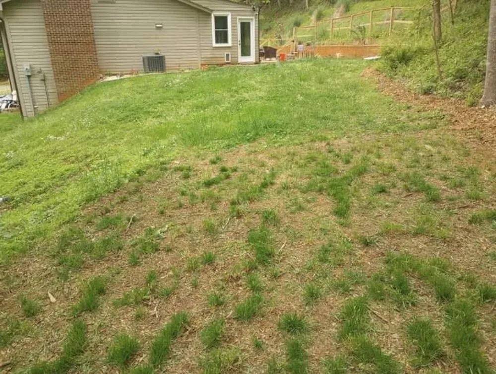 Custom landscape design for residential properties across Roanoke, VA - Roshawn's Small-Scale Landscaping