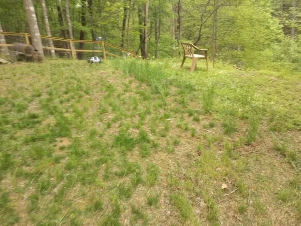 Local lawn mowing service for beautiful yards across Roanoke, VA - Roshawn's Small-Scale Landscaping