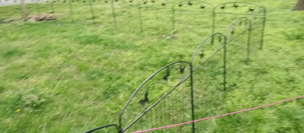 Local outdoor landscaping experts serving Roanoke, VA - Roshawn's Small-Scale Landscaping