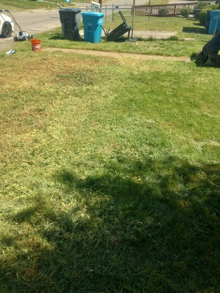 Reliable yard cleanup service for outdoor upgrades across Roanoke, VA - Roshawn's Small-Scale Landscaping