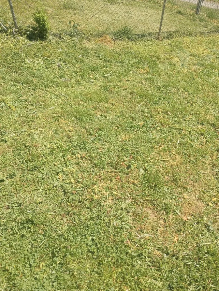 Trusted residential landscaping in Roanoke, VA - Roshawn's Small-Scale Landscaping