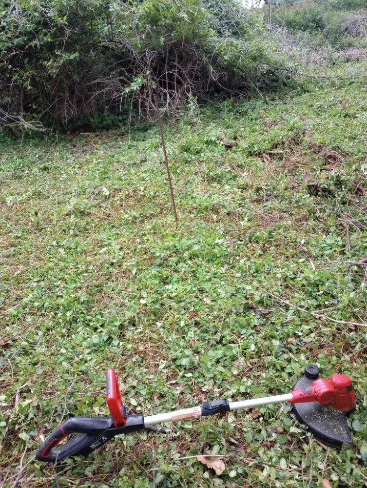 Professional residential landscaping for outdoor upgrades in Roanoke, VA by Roshawn's Small-Scale Landscaping